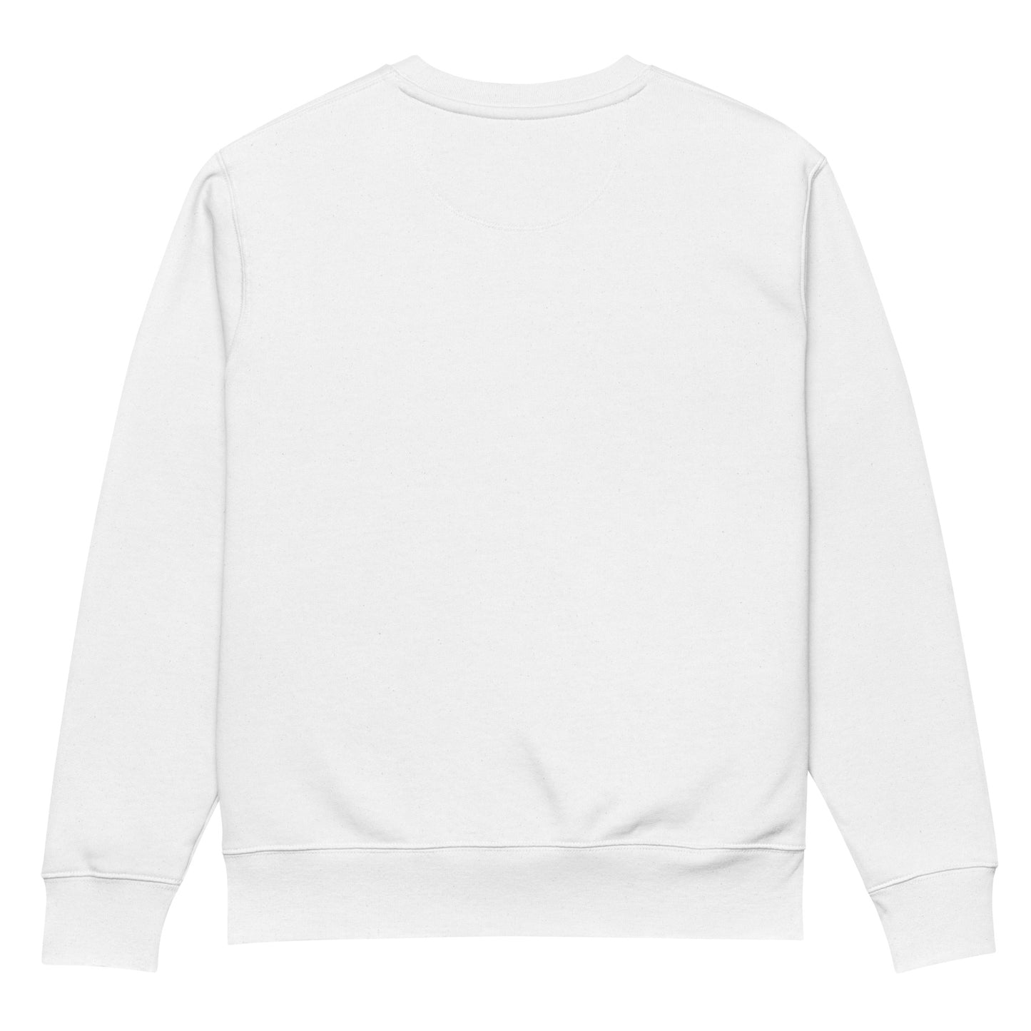 Unisex eco sweatshirt - kesiy